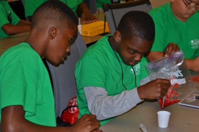 Stem Works Activities