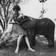 Elephant Foster Mom: A Conversation with Daphne Sheldrick